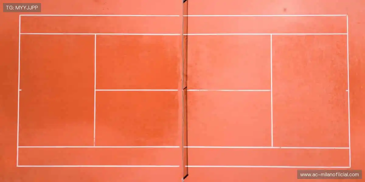 ⚡️ 速度与激情碰撞，