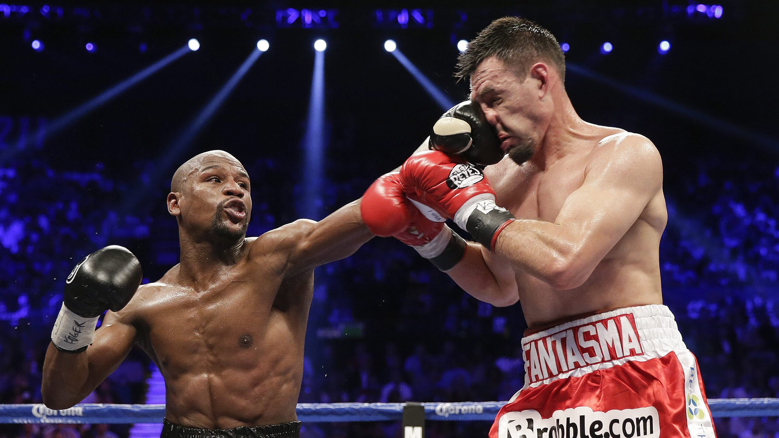 濒危动物主题步行筹款赛 参赛者身穿动物图案T恤